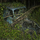 Illustration for article titled Photos of the abandoned antique cars nature has reclaimed